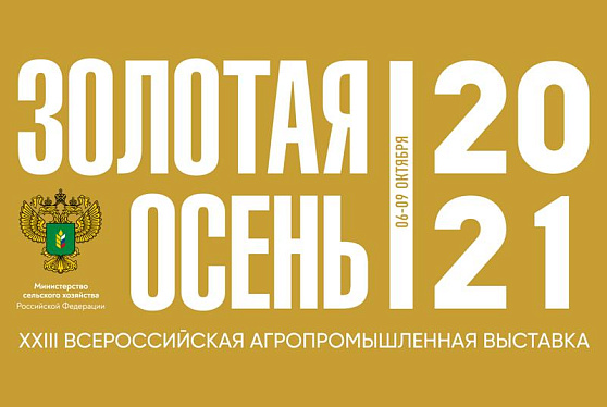 Группа ОЗК принимает участие в выставке «Золотая осень-2021»